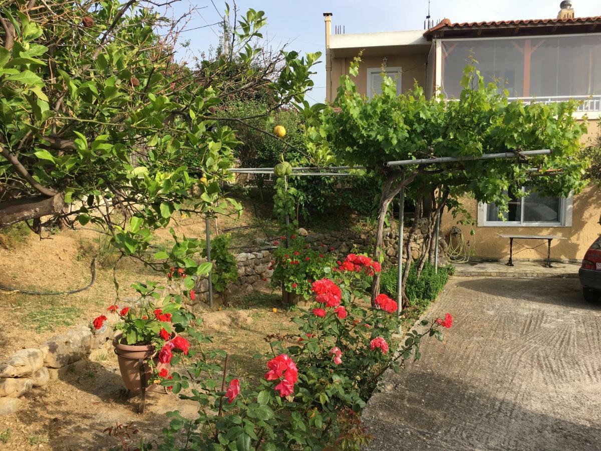 Physis Rental Estate Pigí Dış mekan fotoğraf